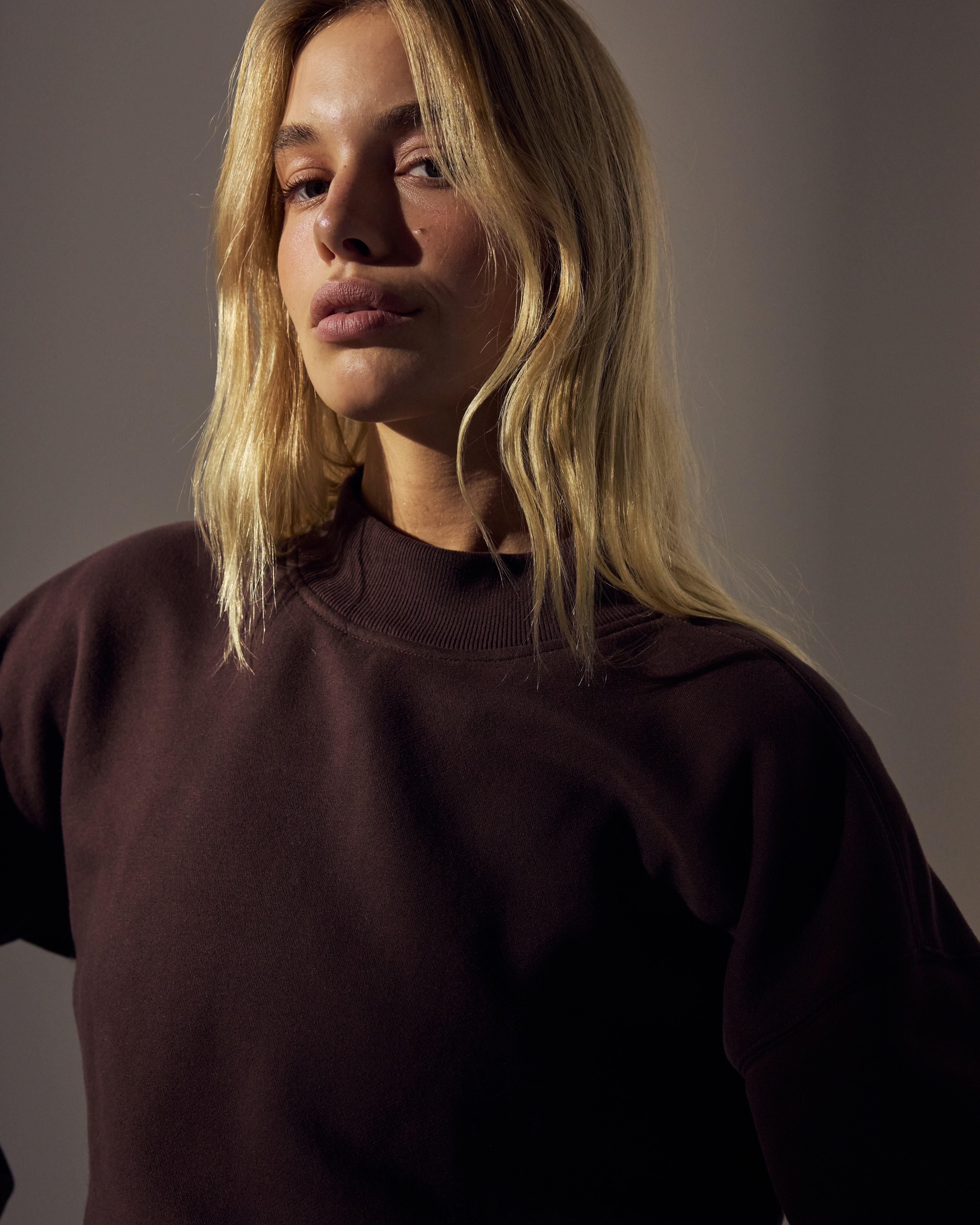 Abercrombie & Fitch Sunday Mockneck Crew In Brown