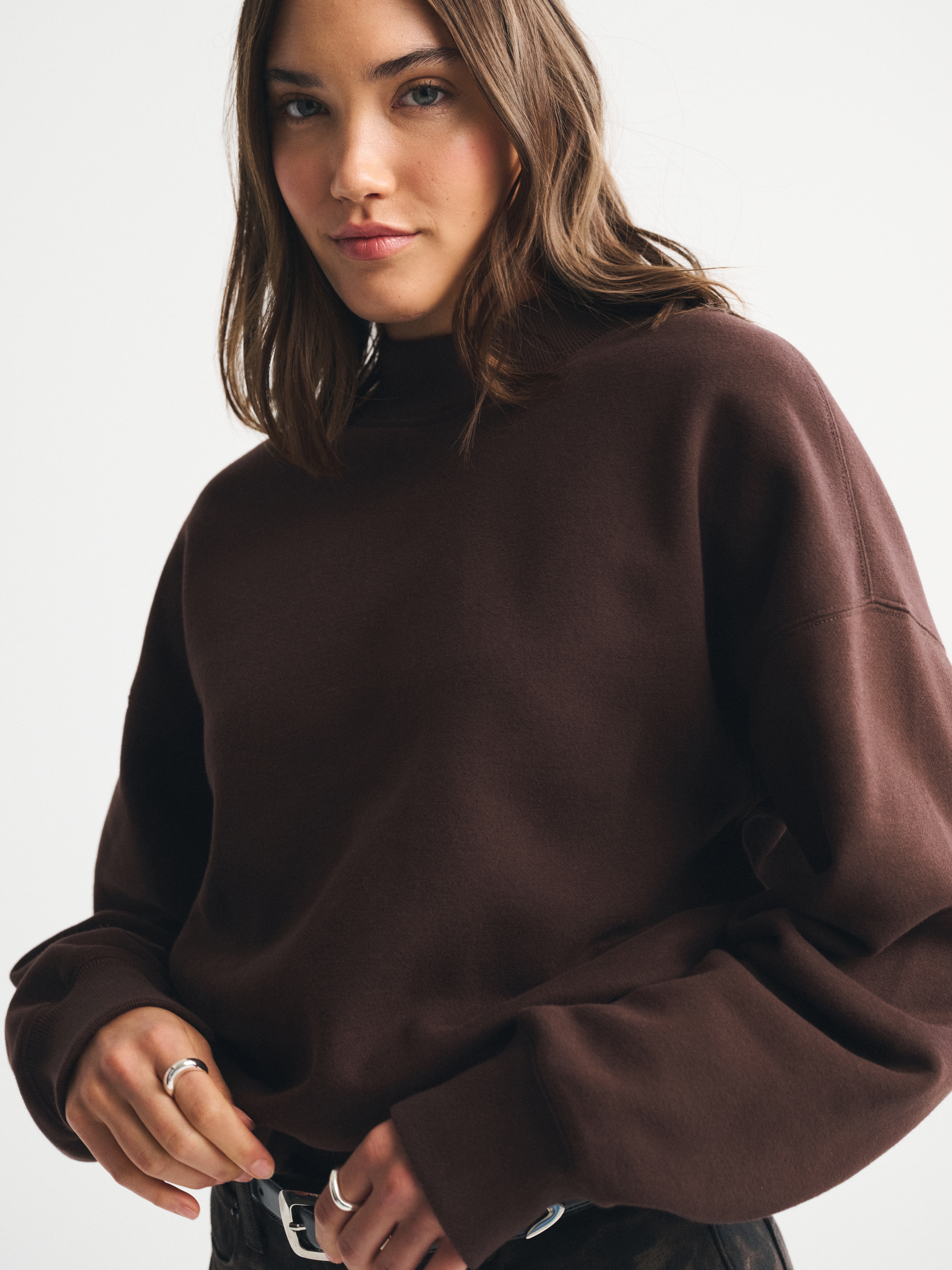 Abercrombie & Fitch Sunday Mockneck Crew In Brown