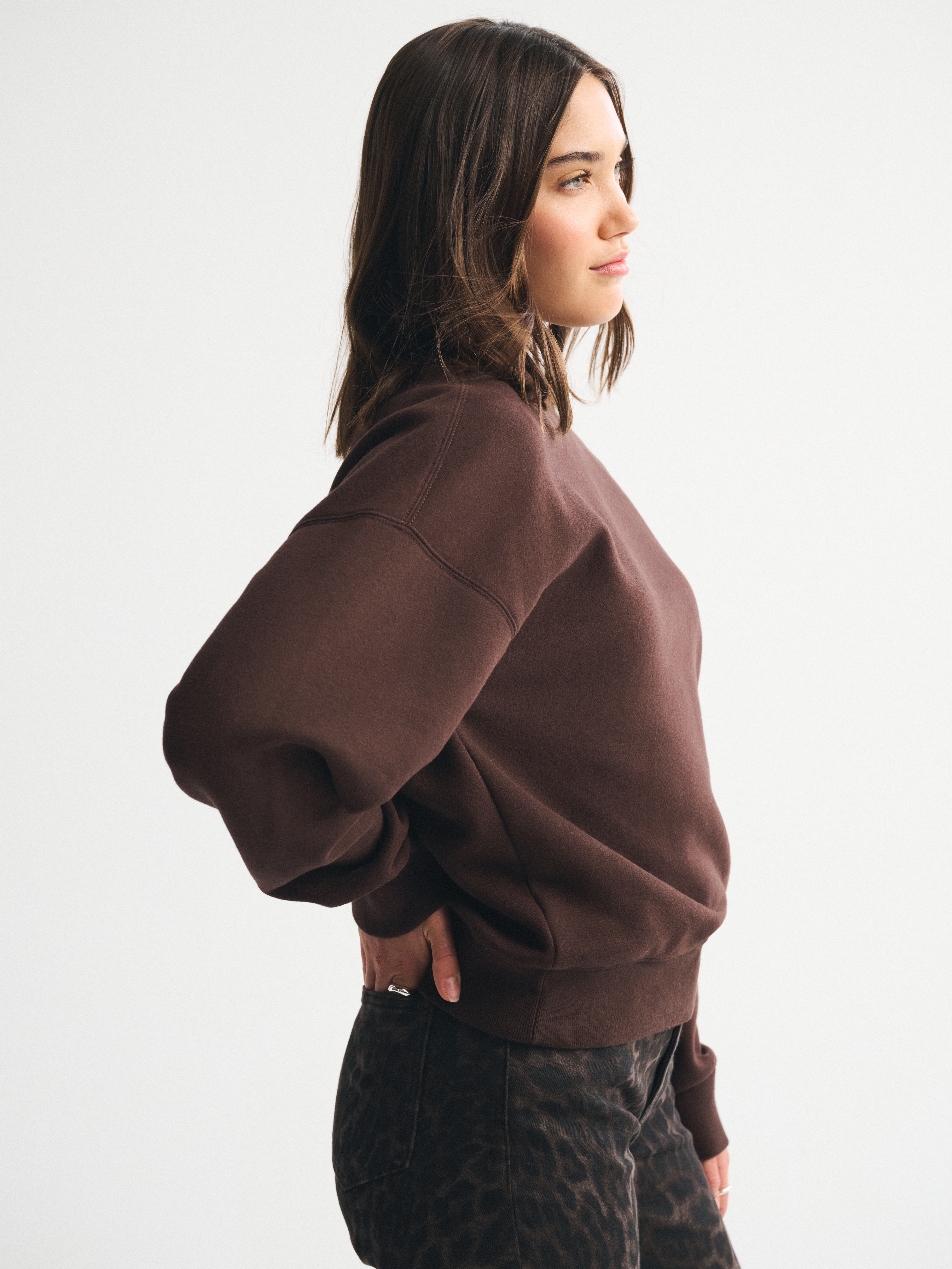 Abercrombie & Fitch Sunday Mockneck Crew In Brown