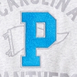 light gray - panthers