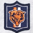 light gray - bears