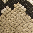 snake print