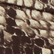snake print