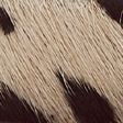 cow print