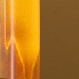 gold frame & gold lens