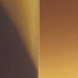 gold frame & gold lens