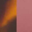 tortoise shell frame & rose lens