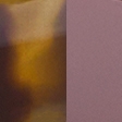tortoise shell frame & plum lens