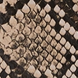 snake print