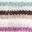 multicolor stripe
