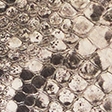 snake print