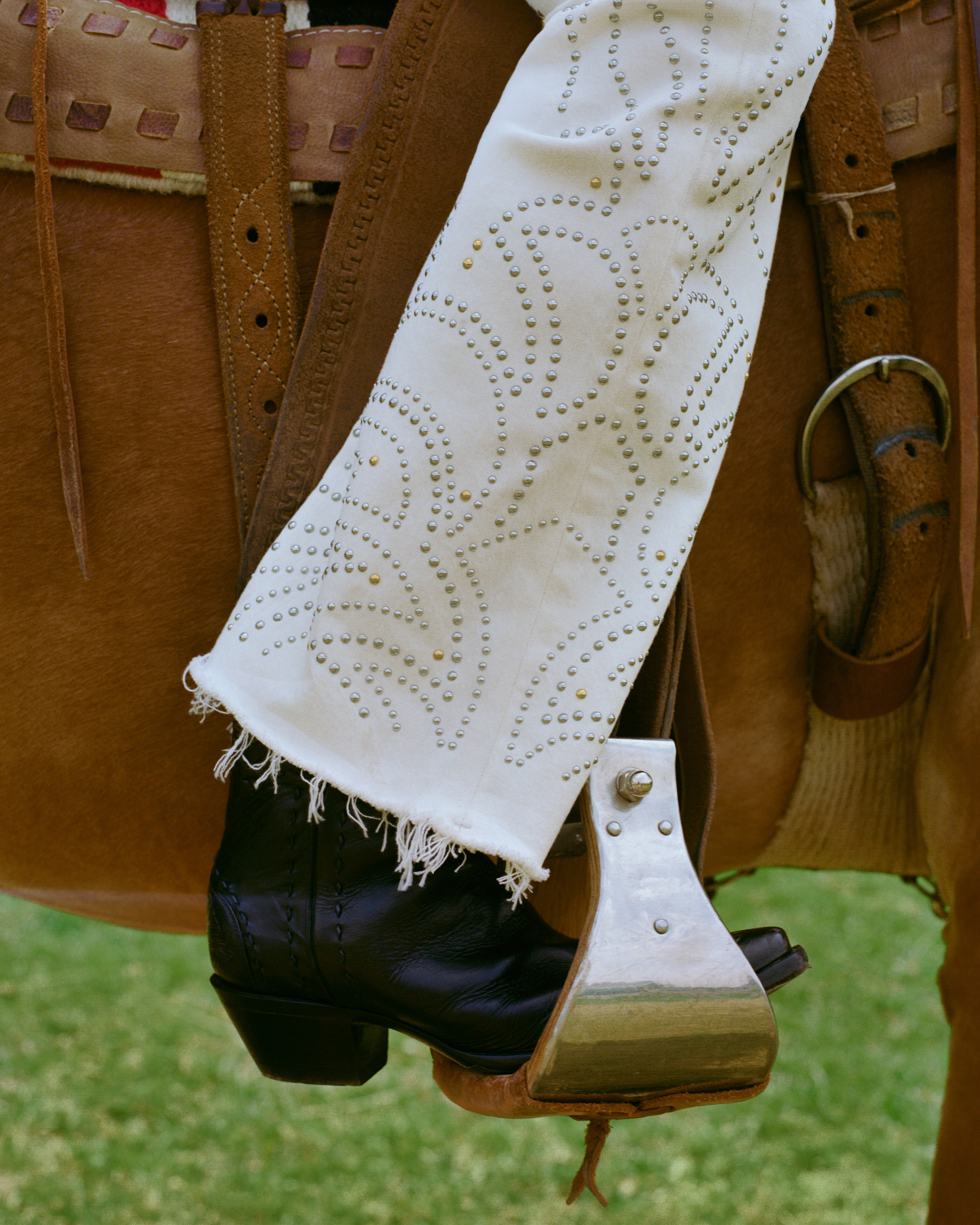 Abercrombie & Fitch Curve Love High Rise Bootcut Jean