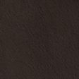 light brown sd/texture