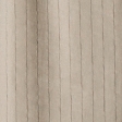 light brown stripe