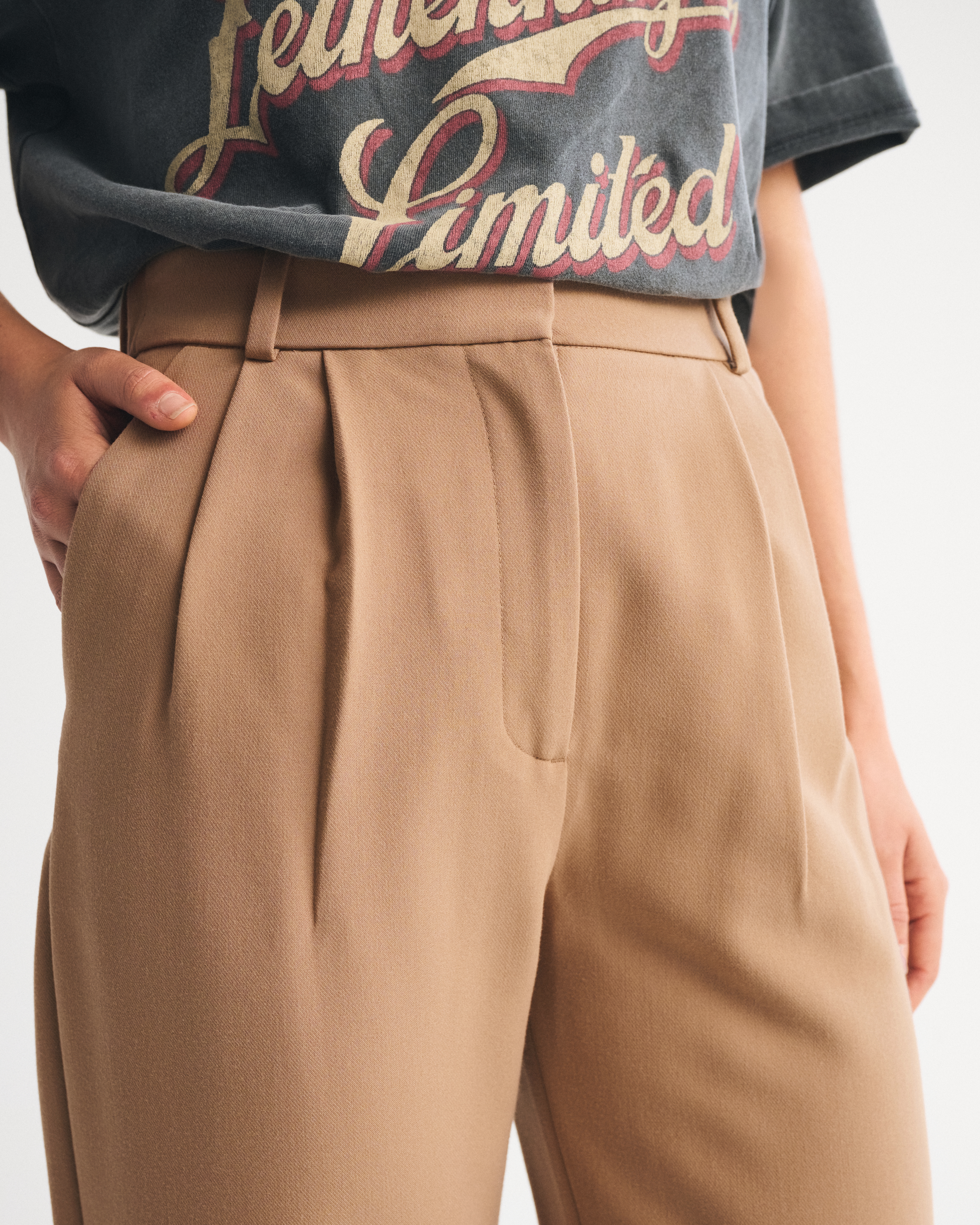 Abercrombie & Fitch A&f Sloane Tailored Wide Leg Pant In Brown