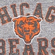 gray - bears