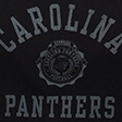 black - panthers