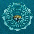 teal - jaguars