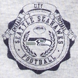 light gray - seahawks