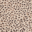 TAN PATTERN