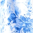 light blue floral