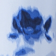 periwinkle floral