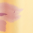 sunny yellow pattern