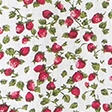 strawberry print
