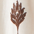 vanilla pattern