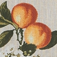 tan fruit pattern