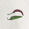 pepper print