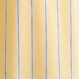 sunny yellow stripe