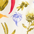 vegetable print