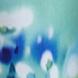 blue floral