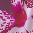 burgundy floral