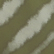 green pattern