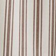brown stripe
