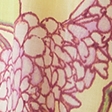 yellow floral