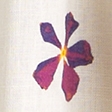 cream pattern