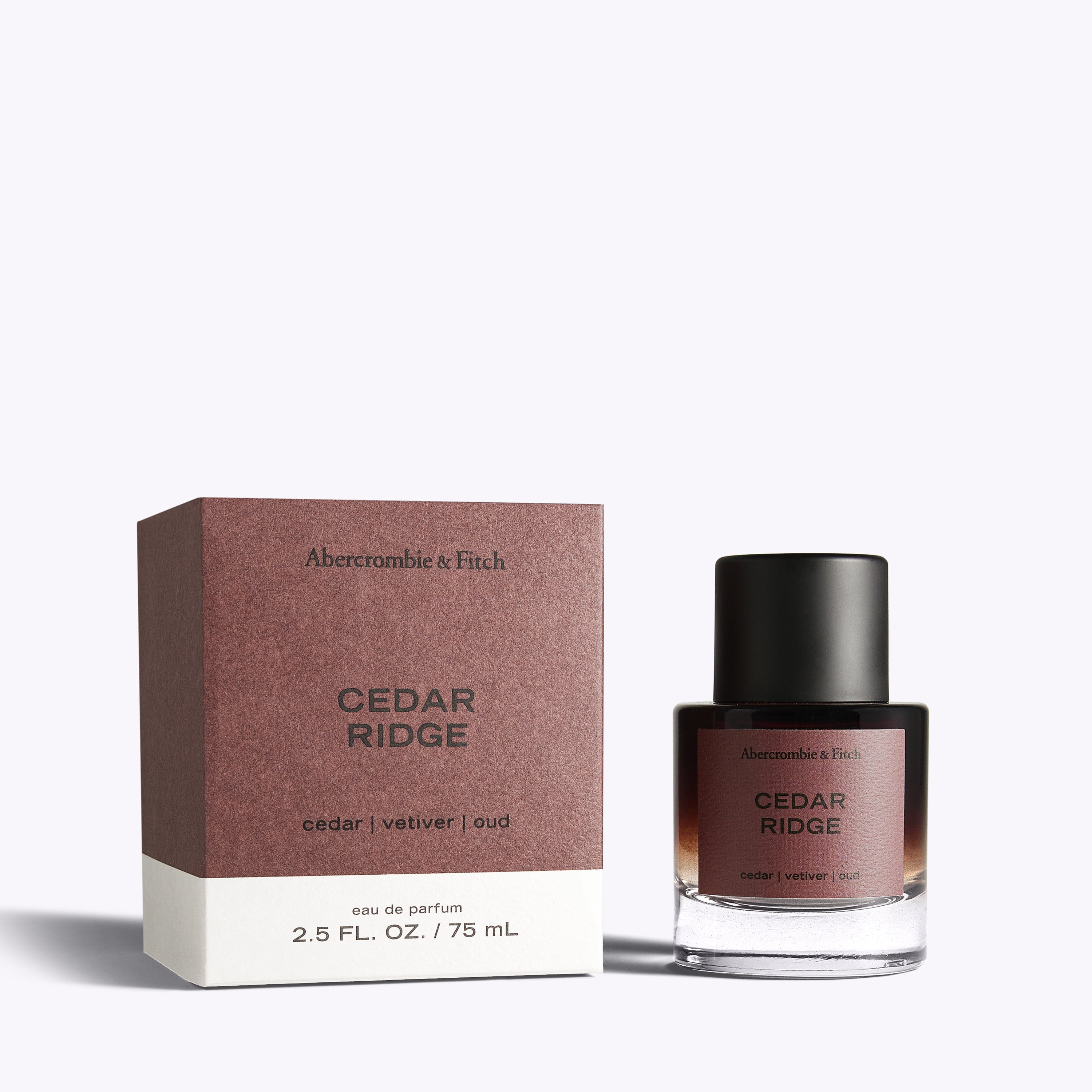 Abercrombie & Fitch Cedar Ridge In Transparent