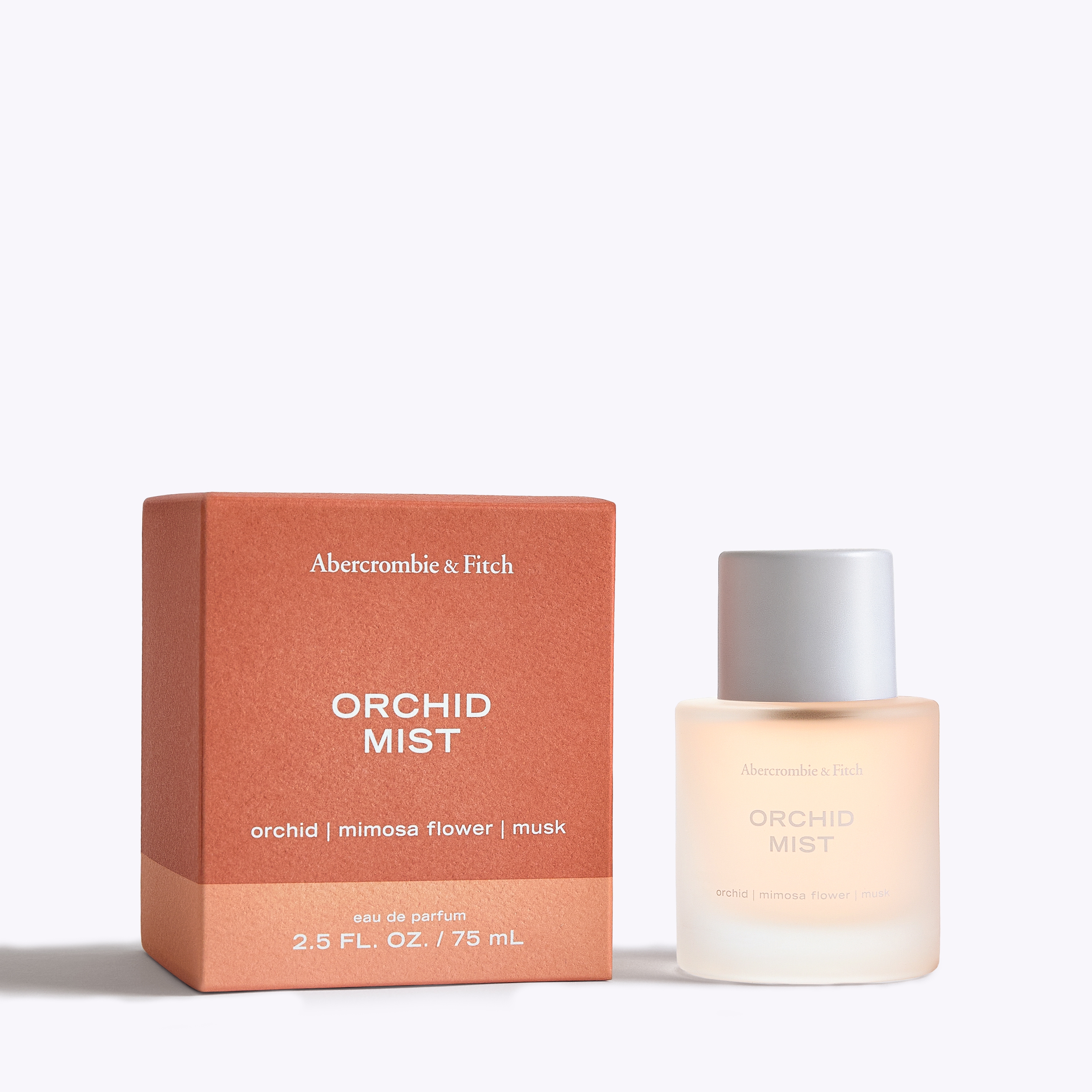 Abercrombie & Fitch Orchid Mist In Transparent