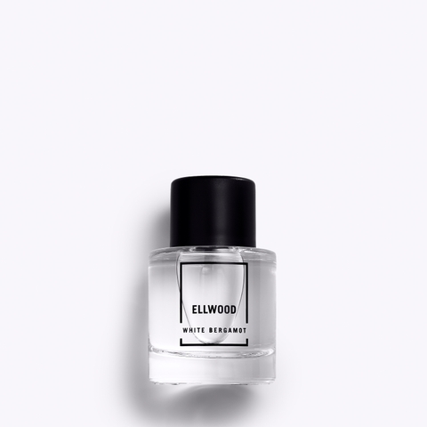 Мужская футболка Abercrombie & Fitch Ellwood