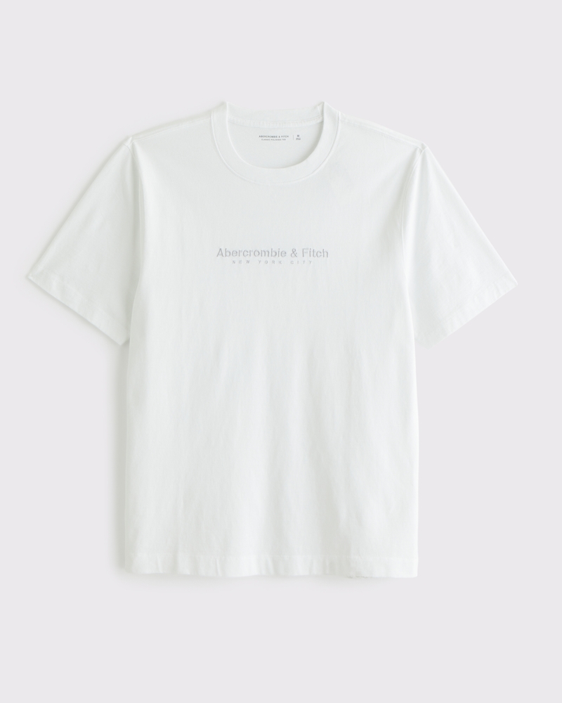 Abercrombie & Fitch クラシック ポリッシュ ロゴ Tシャツ メンズ クラシック ポリッシュ ロゴTシャツ | メンズ トップス