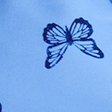 blue butterfly