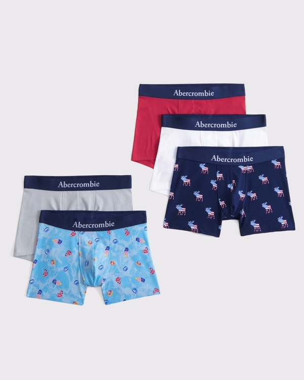 5-pack boxer briefs, Blue Multicolor view 1