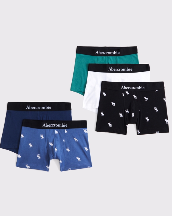 5-pack boxer briefs, Light Blue Multicolor view 1