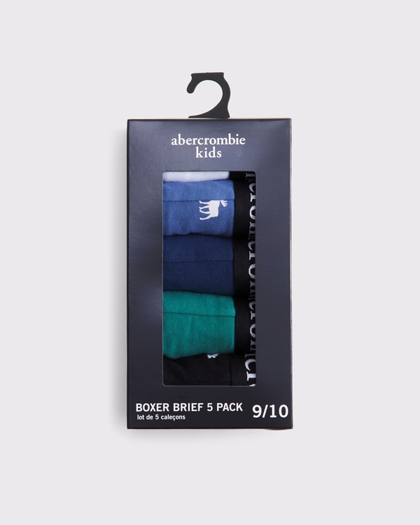 5-pack boxer briefs, Light Blue Multicolor view 2