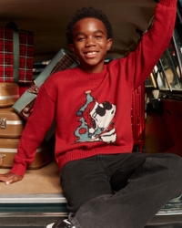 snoopy graphic crew sweater