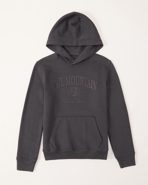 boys hoodies & sweatshirts | abercrombie kids