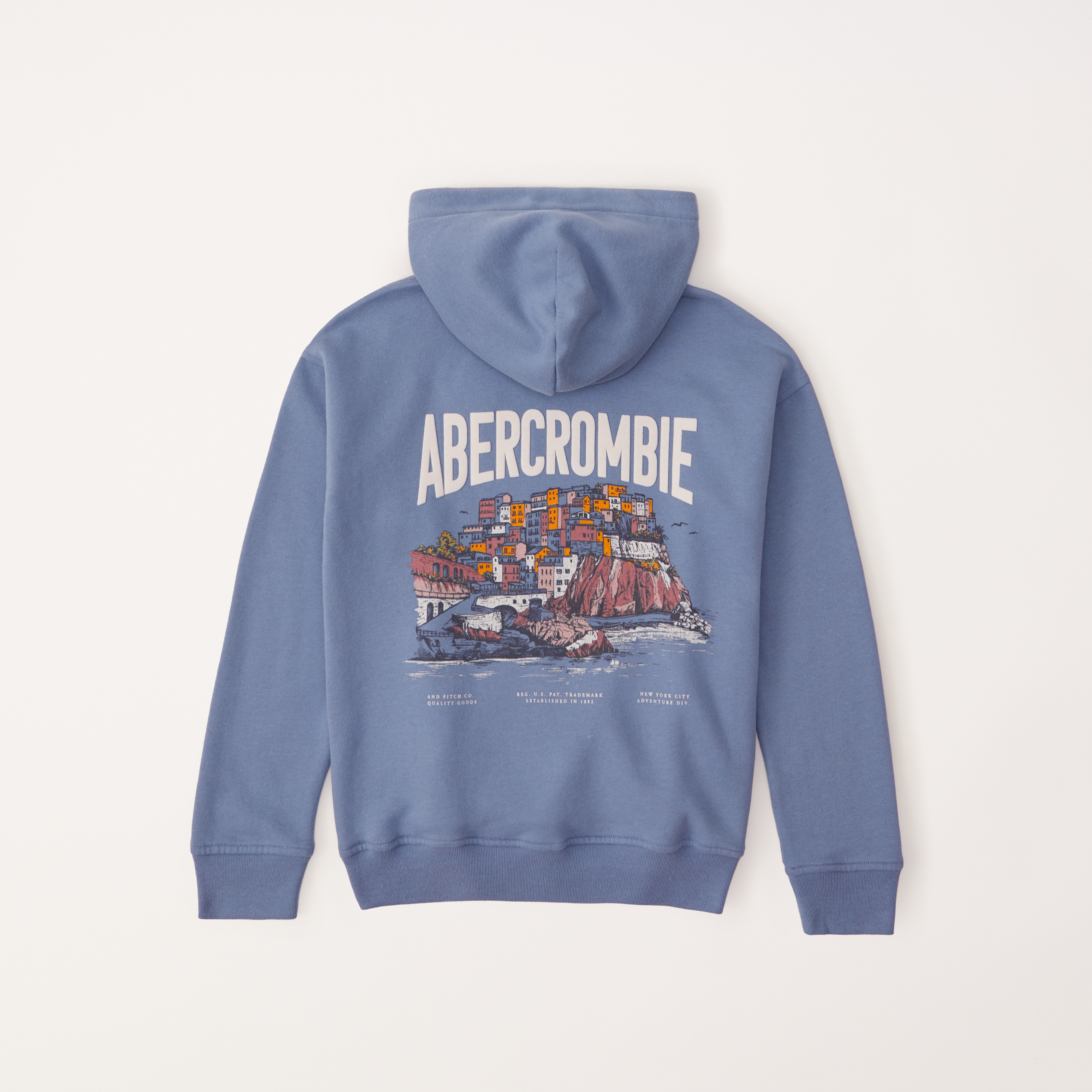 Abercrombie and fitch hot sale hoodies sale